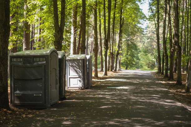 Porta potty rental for outdoor events in San Luis, AZ